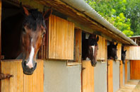 free Llechfaen stable construction quotes